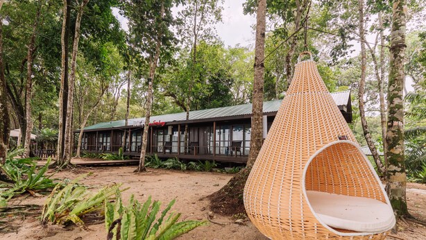 A hanging chair in a forested area with a building in the background. - Roxy Telok Serabang (Lundu)