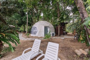 Relax in a serene forest setting, surrounded by lush greenery and natural beauty.