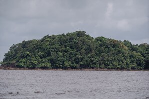 Escape to a lush island surrounded by calm waters and dense green foliage.