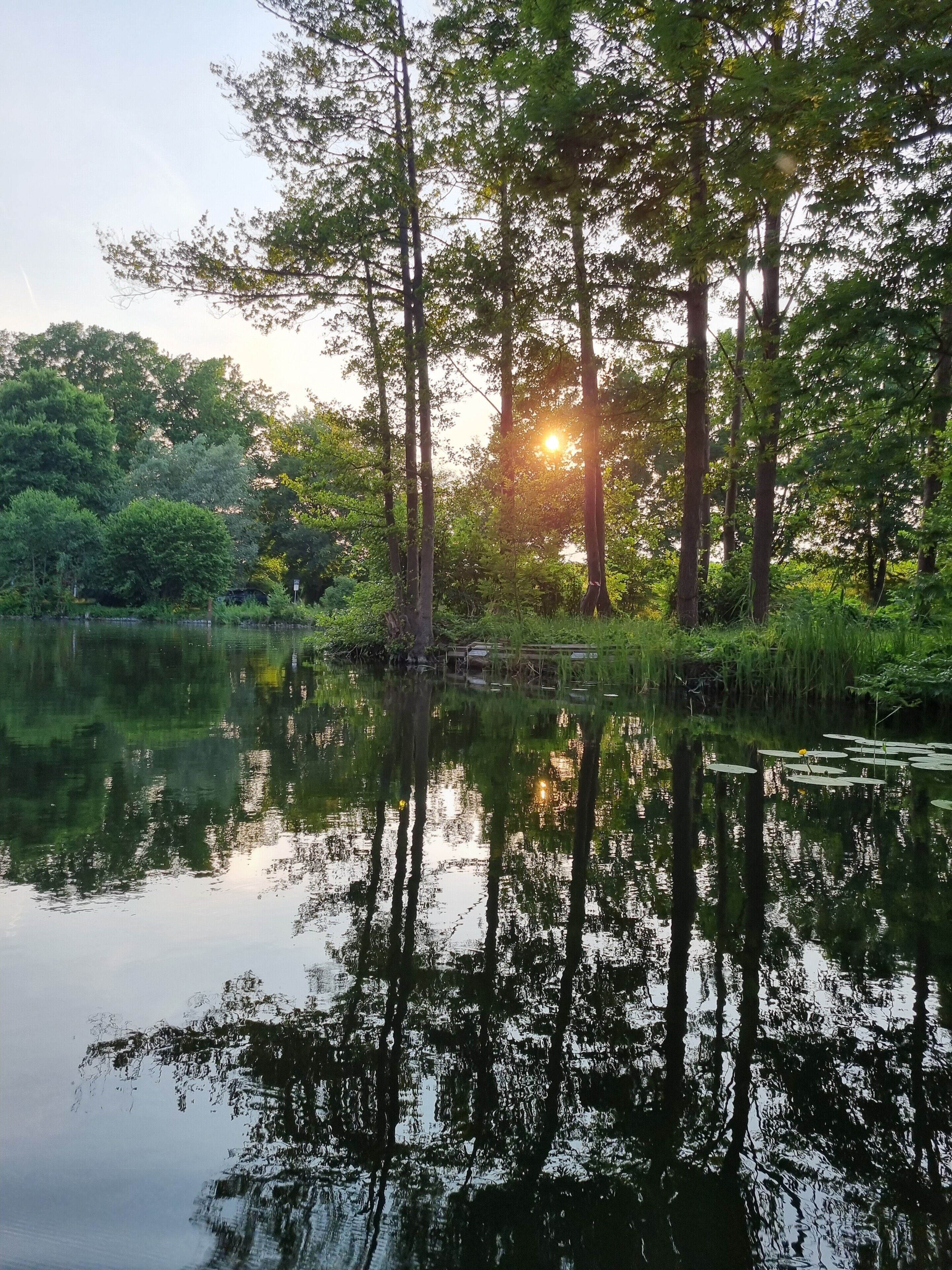 A tranquil lake surrounded by dense trees and a wooden dock.