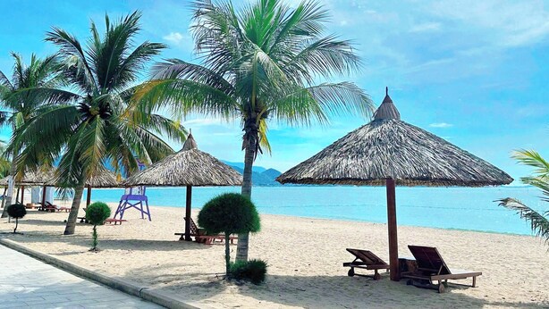 Una playa con palmeras, sombrillas de paja y sillas de descanso.