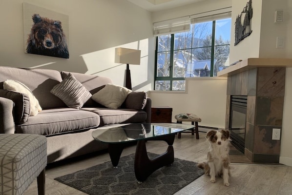 Smart TV, fireplace, DVD player, stereo