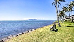Une vue sur la côte, avec un banc, des palmiers et un bâtiment en arrière-plan.