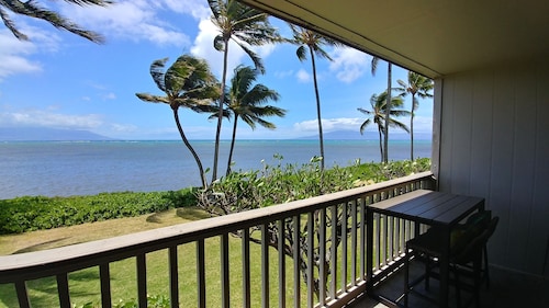 Oceanfront, king bed, queen murphy bed, beach / pickleball supplies & car option