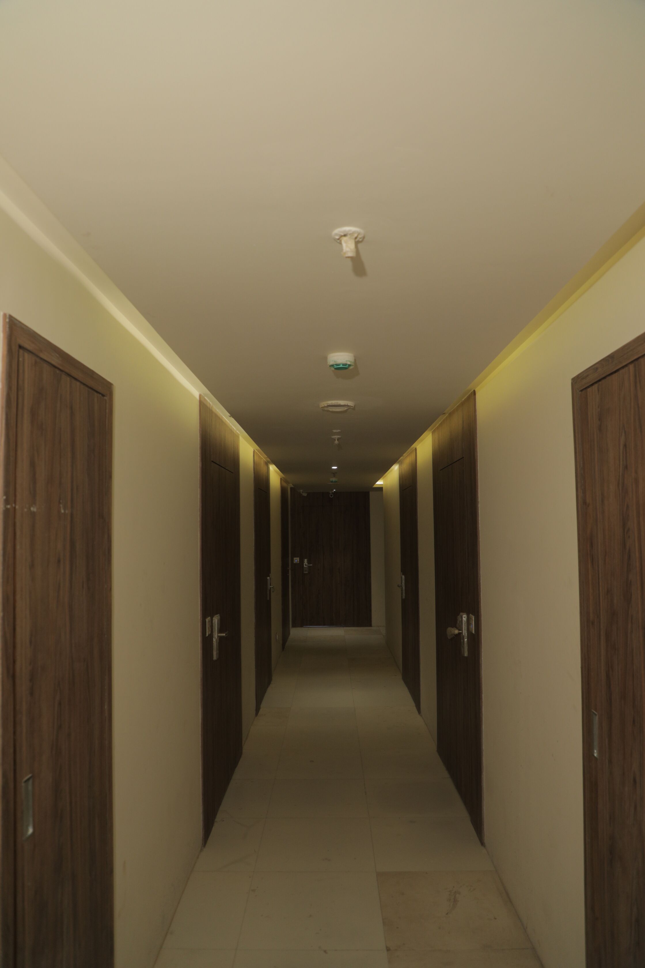A narrow hallway with wooden doors on both sides, leading to a room at the end.