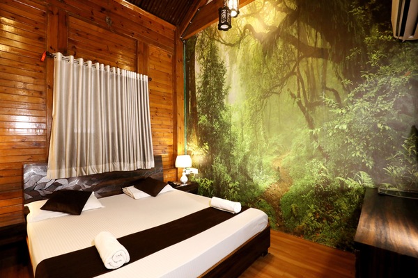 Deluxe Double Room | Desk, laptop workspace, iron/ironing board, WiFi (free)