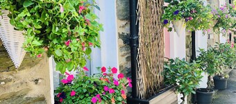 Rose Cottage Beddgelert Set on the Banks of the River Colwyn Snowdonia