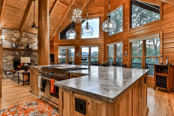 Kühlschrank, Ofen, Herdplatte, Geschirrspüler