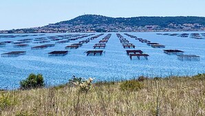A coastal area with numerous wooden docks extending into the water, a distant hill with buildings, and a clear sky.