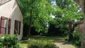 Una casa con un giardino, un albero e un vialetto che conduce alla casa.
