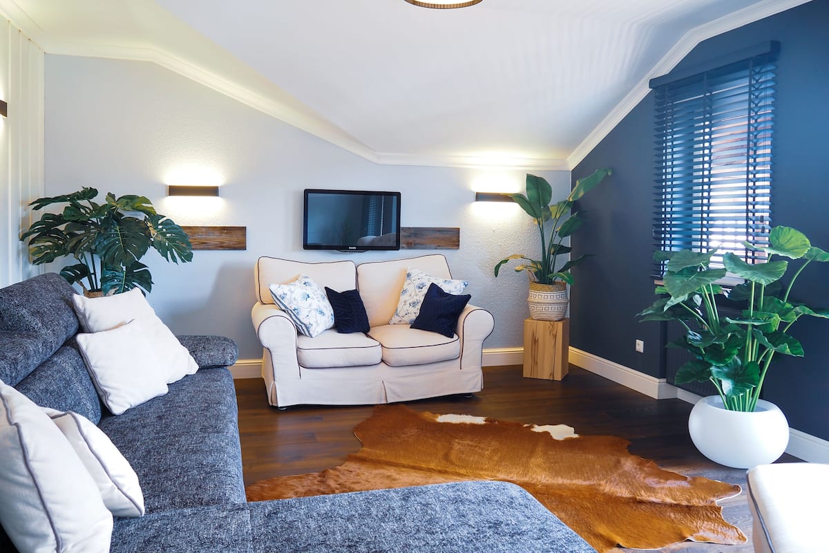 Una sala de estar con un sofá gris, un sofá beige, una mesa de centro de madera y un tapiz de cuero de vaca. Hay un televisor de pantalla plana en la pared, y dos plantas en macetas.
