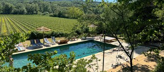 Estate with large swimming pool overlooking vineyards
