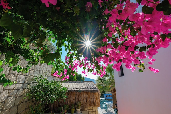 Garden - Kybele Alacati (Cesme)