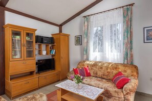 تلفزيون بحجم 21-بوصة يعرض قنوات فضائية، ستيريو