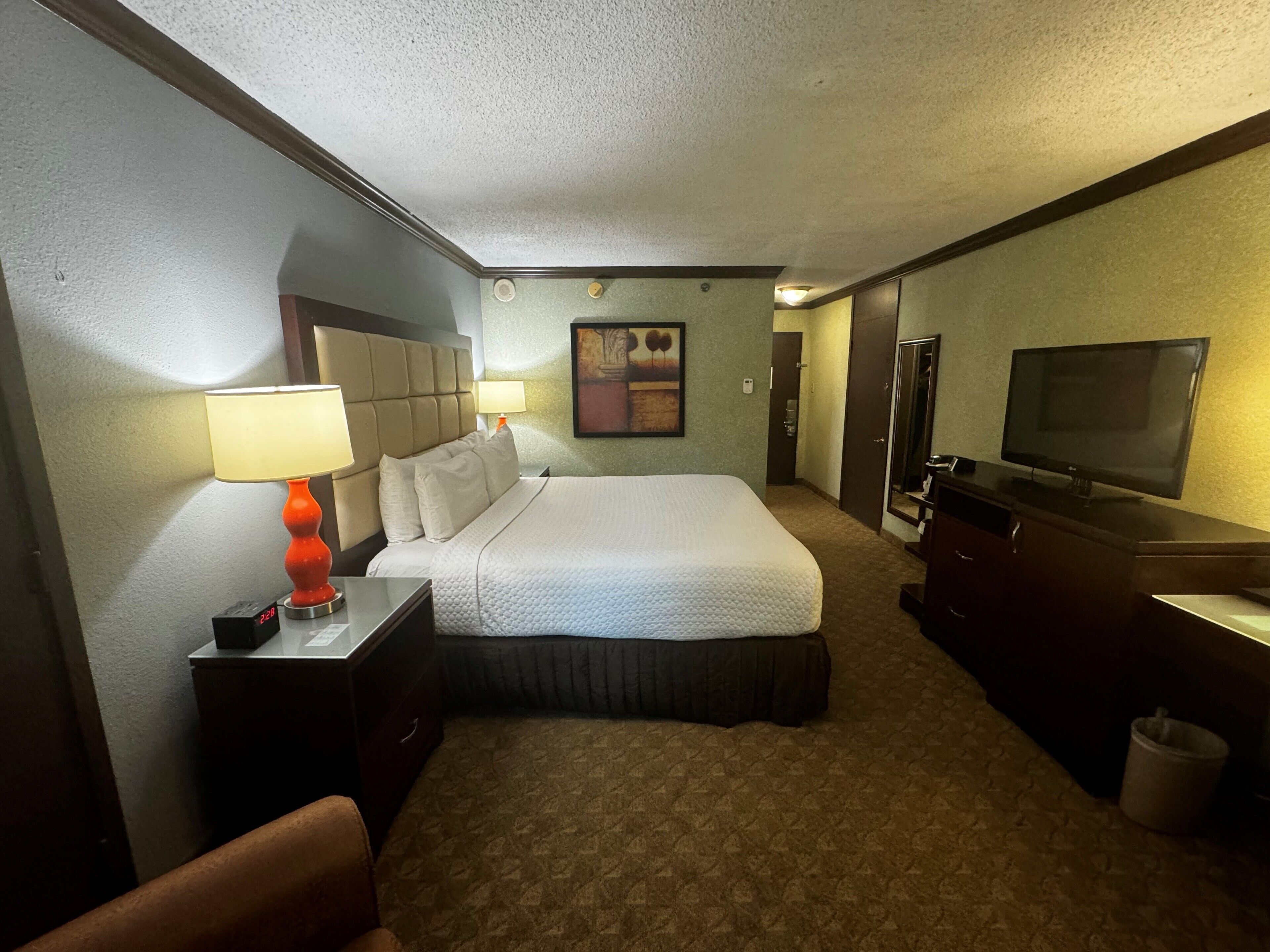 Room, 1 King Bed, Non Smoking | Desk, laptop workspace, blackout curtains, iron/ironing board