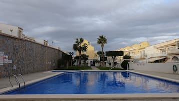 Une piscine avec un mur en pierre et des palmiers.