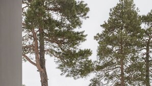 A room with a view of a snowy landscape and a body of water. - Most Luxurious 5-bed Villa in Boo Stockholm (Värmdö)