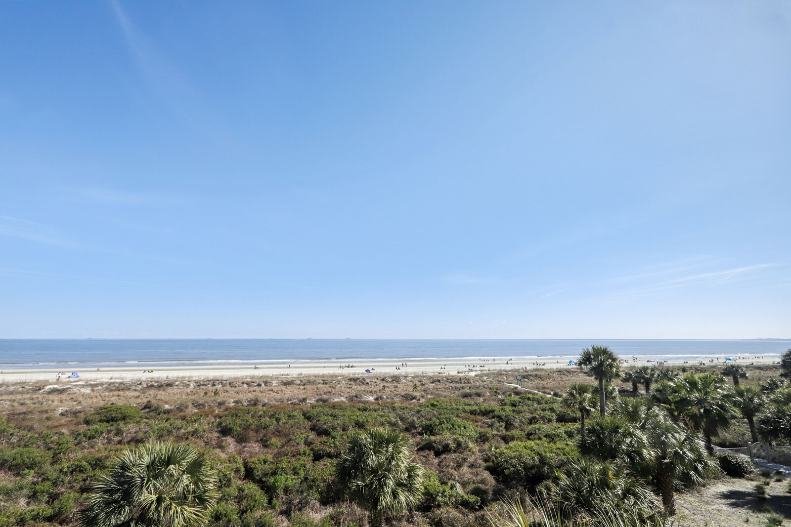 Une plage à la végétation clairsemée, sous un ciel dégagé.
