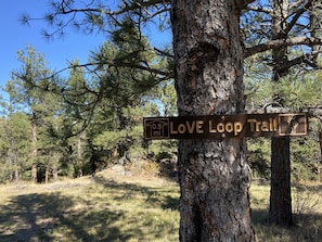 Hike the scenic Love Loop Trail, a 0.5-mile route through a forested area.