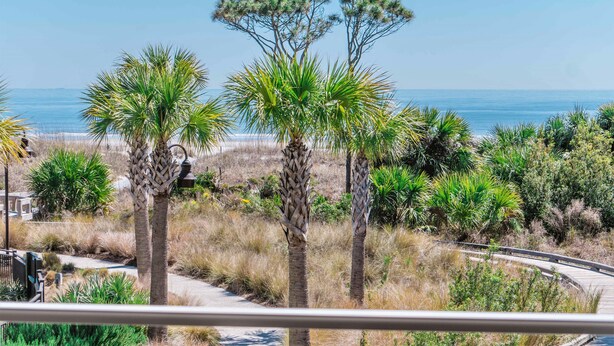 A coastal landscape with palm trees, a wooden boardwalk, and a view of the ocean. - Direct Oceanfront Villa / Heated Pool & Ocean View (Hilton Head Island)