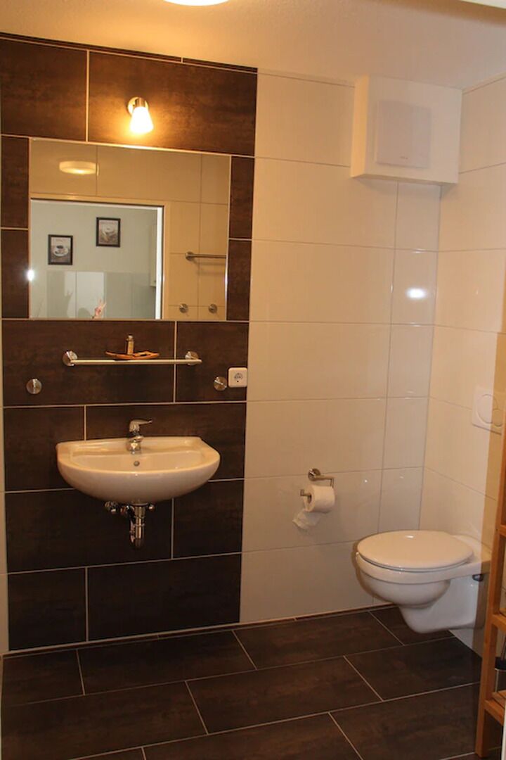 A bathroom with a dark tiled wall, a white sink, a mirror, a toilet, and a shelf with toiletries.