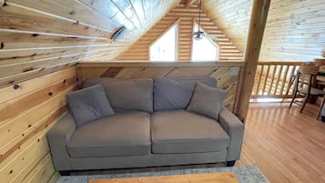 Smart TV, fireplace, DVD player, books