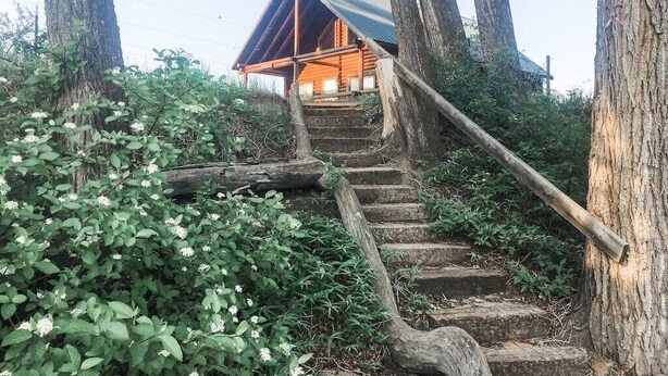 Een houten trap die leidt naar een chalet met een schuin dak, omgeven door bomen en begroeiing.