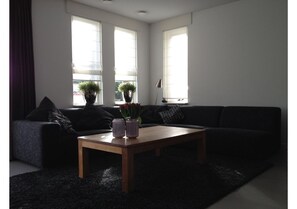 Smart TV, DVD player, books, music library