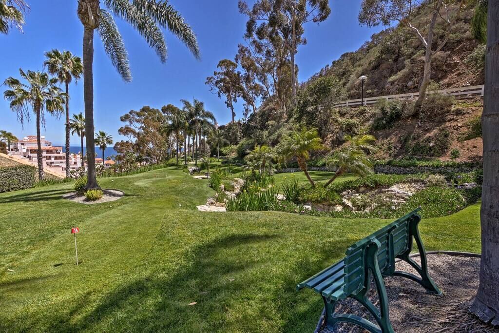 A well-maintained garden with a bench, palm trees, and a stone wall.