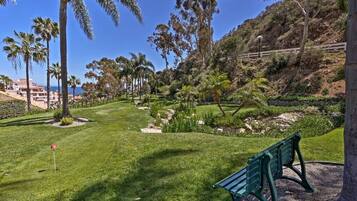 A well-maintained garden with a bench, palm trees, and a stone wall.