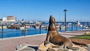 A harbor with boats, a statue of a seal, and a building in the background.