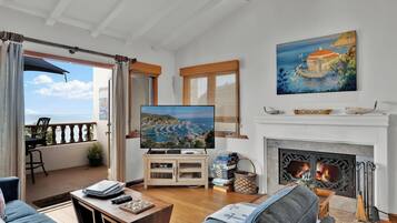 TV connectée, cheminée, lecteur de DVD, livres