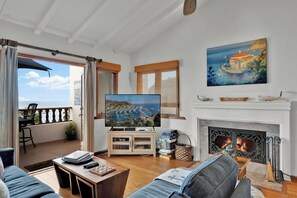 Smart TV, fireplace, DVD player, books