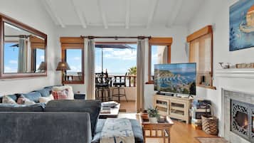 TV connectée, cheminée, lecteur de DVD, livres