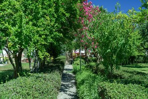 Um caminho serpenteando por um parque, com vegetação exuberante e árvores de flores cor-de-rosa.