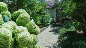 Un sentier de jardin bordé d’une végétation luxuriante, avec un bâtiment en arrière-plan.