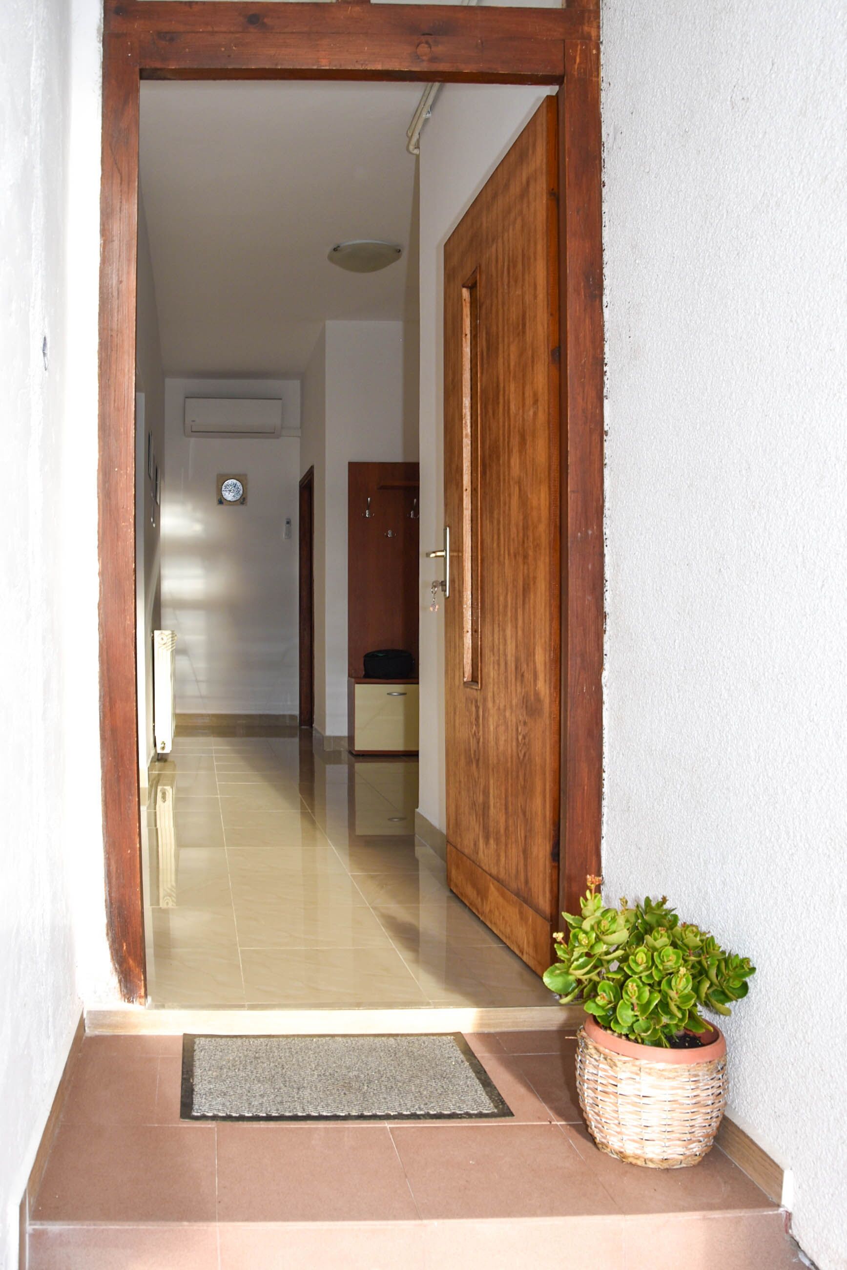 A wooden door leading into a hallway with a potted plant on the floor.