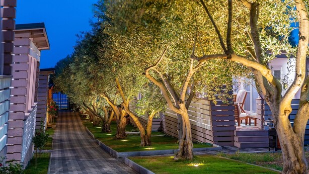 A pathway lined with trees and a building with a flat roof. - Mobile Home Pecten Exclusive 1 (Pakostane)