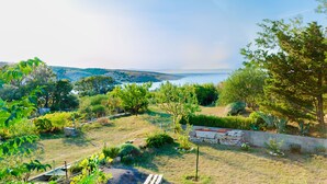 Un giardino con diverse piante e alberi, una zona pavimentata e vista sul mare.