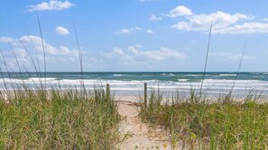 A beach path leading to the ocean with grassy vegetation on either side.