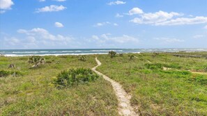 A coastal path leading to the ocean with a clear sky.