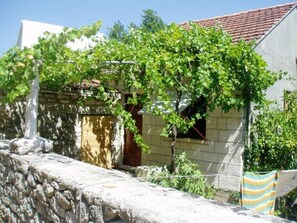 Terrain de l’hébergement 