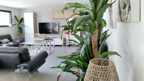 A modern living room with a black leather sofa, a glass coffee table, and a TV mounted on the wall. There are several potted plants, including a large one in the foreground. - ⛰️☀️Villa Le Saint Clair - Entre Pins, Colline & Méditerranée in Sète 🌊🌲 (Sète)