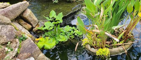 Parco della struttura