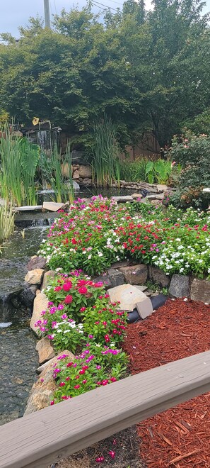 Property grounds - Water Feature Cottage (Raleigh)