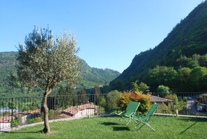 Trädgård