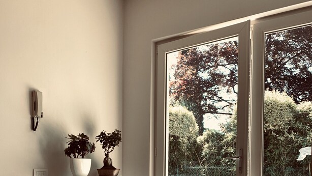 Une pièce avec un plancher en bois, une étagère blanche où sont disposées des plantes en pot, un tapis à rayures et une porte-fenêtre coulissante donnant sur un espace extérieur où se trouve un chien.