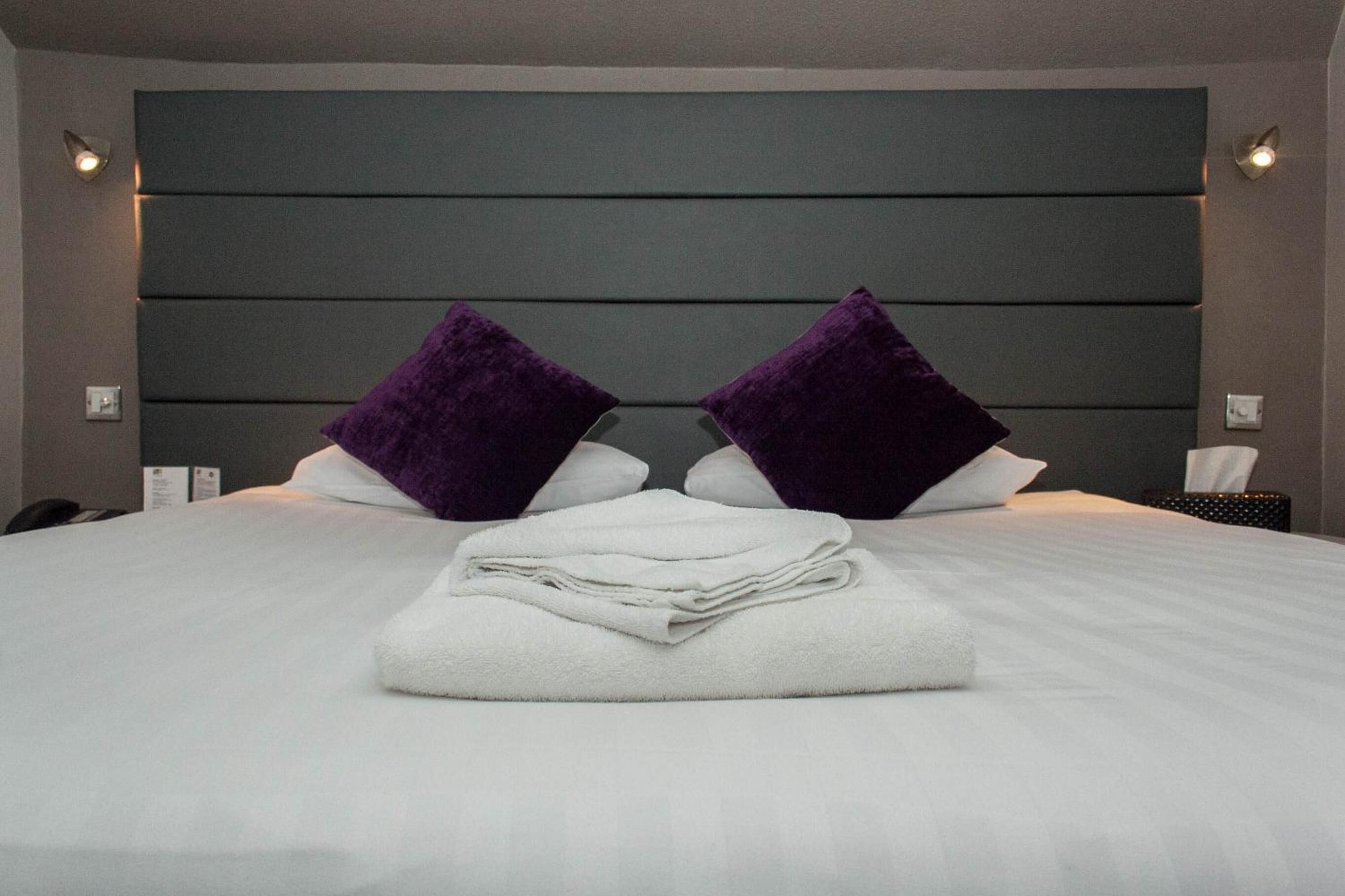 A neatly made bed with white linens and two purple pillows, a dark headboard, and bedside lamps.
