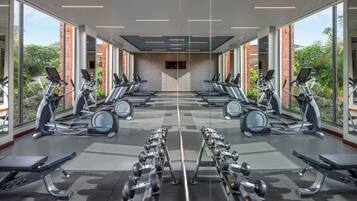 A gym with treadmills, elliptical machines, and weight benches arranged in rows.