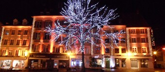 Charming Standing Studio HISTORIC CENTER#